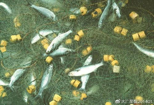 AquaTech 2026 馬來西亞漁業展覽會 領航漁業新紀元，驅動畜牧漁業飼料銷售創新